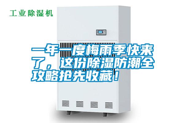 一年一度梅雨季快來了，這份除濕防潮全攻略搶先收藏！