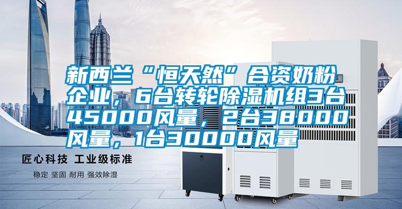 新西蘭“恒天然”合資奶粉企業(yè)，6臺轉(zhuǎn)輪除濕機(jī)組3臺45000風(fēng)量，2臺38000風(fēng)量，1臺30000風(fēng)量