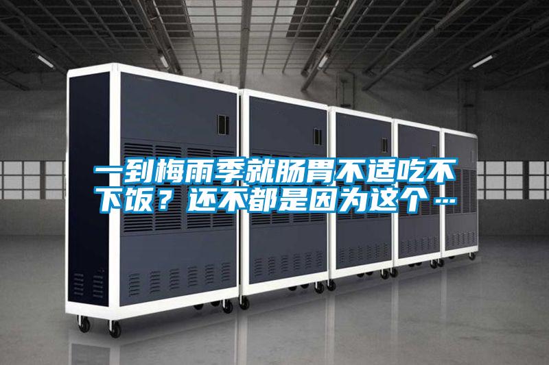 一到梅雨季就腸胃不適吃不下飯？還不都是因為這個…