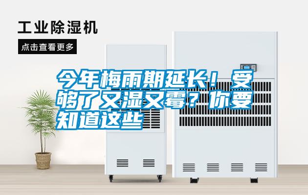 今年梅雨期延長(zhǎng)！受夠了又濕又霉？你要知道這些