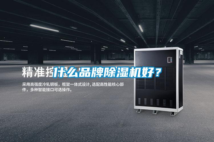 什么品牌除濕機好?