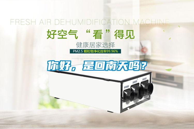你好，是回南天嗎？