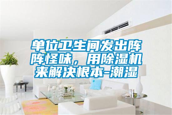 單位衛生間發出陣陣怪味，用除濕機來解決根本-潮濕