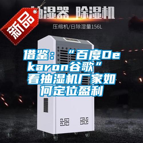 借鑒:“百度Dekaron谷歌” 看抽濕機廠家如何定位盈利