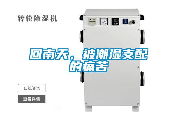 回南天,被潮濕支配的痛苦