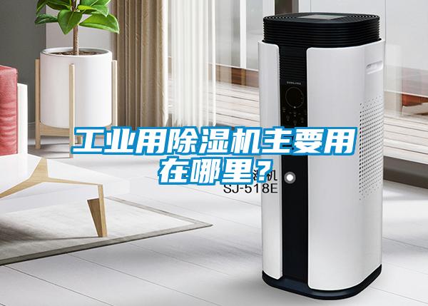 工業用除濕機主要用在哪里？