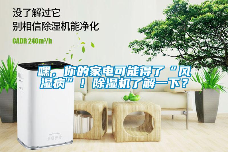 嘿,你的家電可能得了“風濕病”!除濕機了解一下?