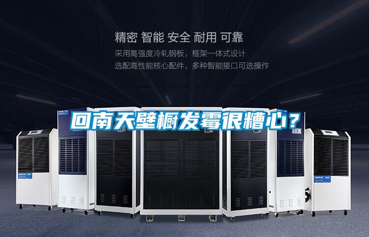 回南天壁櫥發霉很糟心?