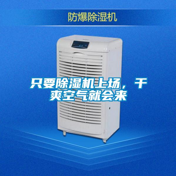 只要除濕機上場，干爽空氣就會來