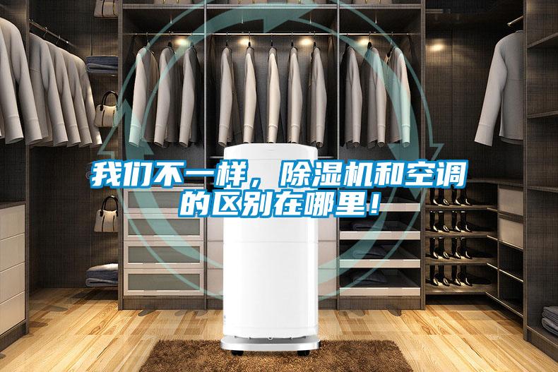 我們不一樣，除濕機和空調的區別在哪里！