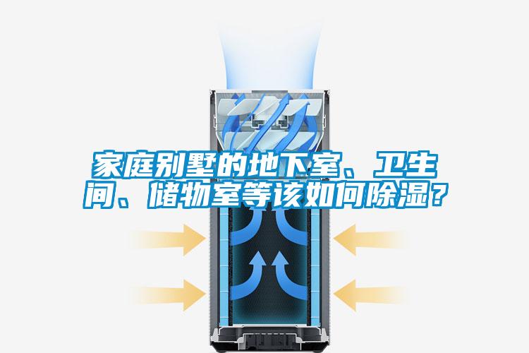 家庭別墅的地下室、衛(wèi)生間、儲(chǔ)物室等該如何除濕？