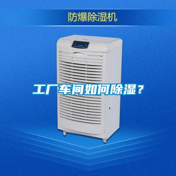 工廠車間如何除濕？