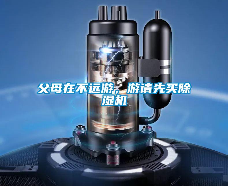 父母在不遠(yuǎn)游,游請(qǐng)先買除濕機(jī)