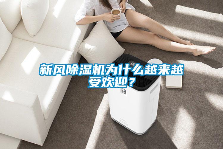 新風(fēng)除濕機(jī)為什么越來越受歡迎？
