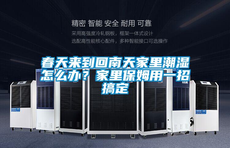 春天來到回南天家里潮濕怎么辦？家里保姆用一招搞定