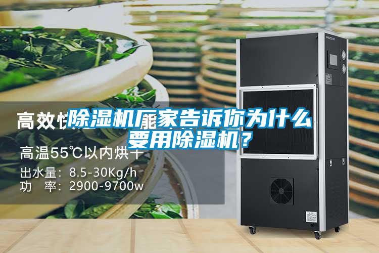 除濕機廠家告訴你為什么要用除濕機?
