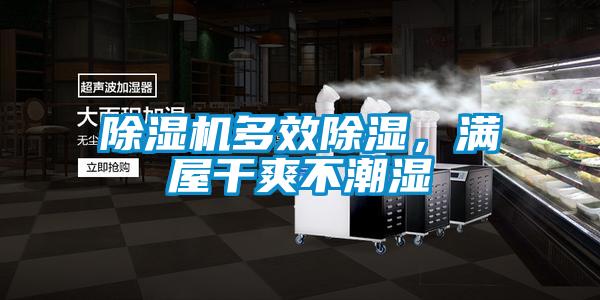 除濕機多效除濕,滿屋干爽不潮濕