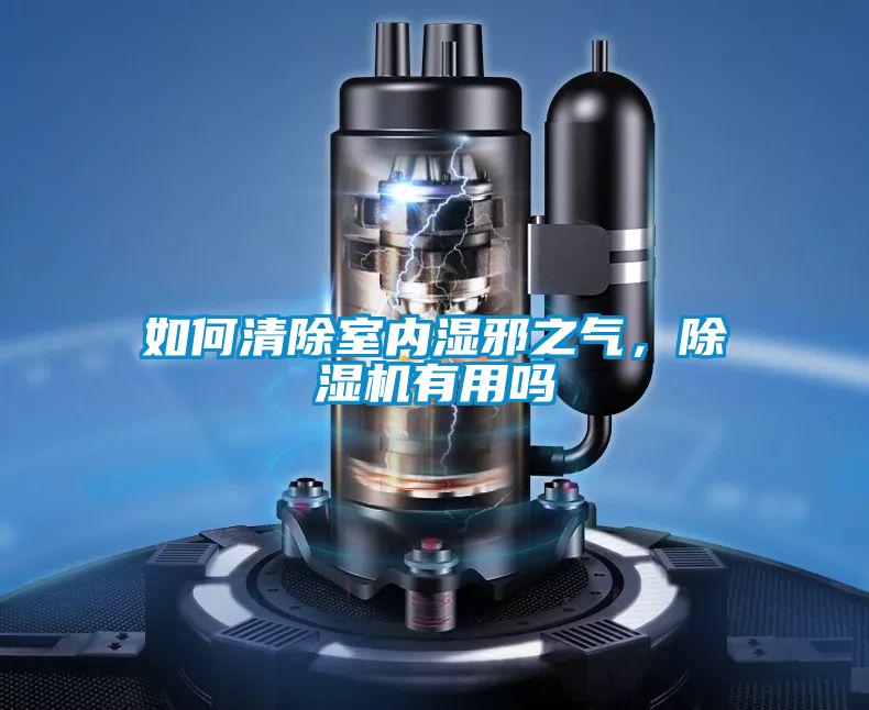 如何清除室內(nèi)濕邪之氣，除濕機(jī)有用嗎