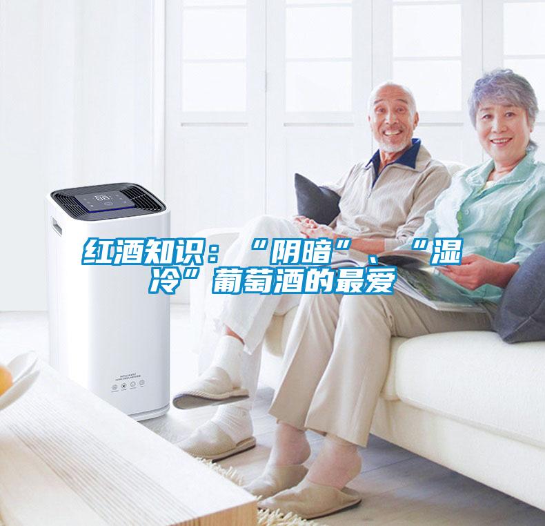 紅酒知識：“陰暗”、“濕冷”葡萄酒的最愛