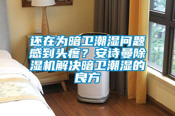 還在為暗衛潮濕問題感到頭疼？安詩曼除濕機解決暗衛潮濕的良方