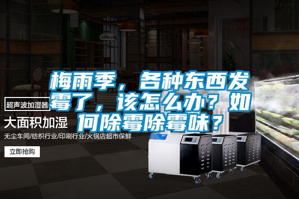 梅雨季，各種東西發霉了，該怎么辦？如何除霉除霉味？