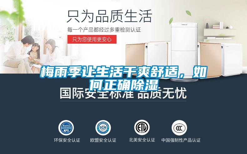 梅雨季讓生活干爽舒適，如何正確除濕