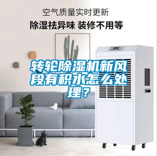 轉輪除濕機新風段有積水怎么處理?