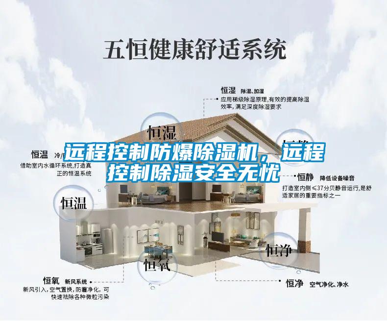 遠程控制防爆除濕機,遠程控制除濕安全無憂