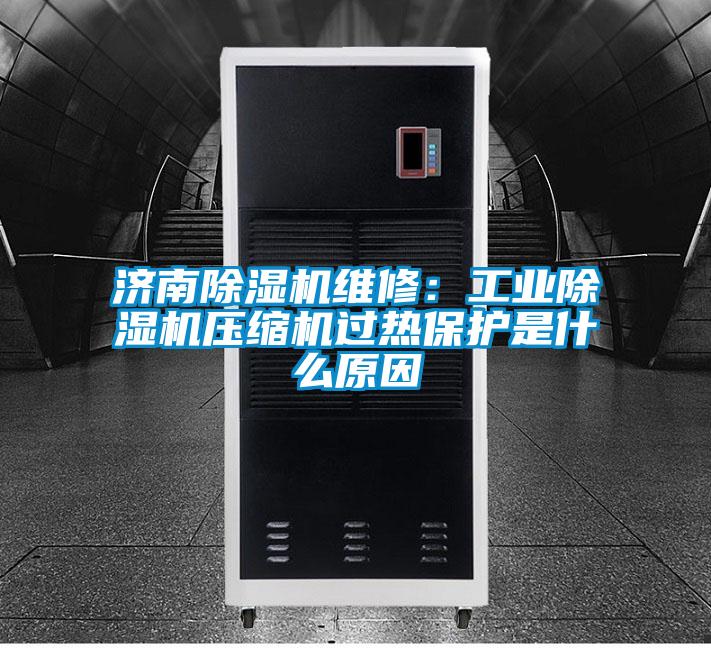 濟南除濕機維修:工業(yè)除濕機壓縮機過熱保護是什么原因