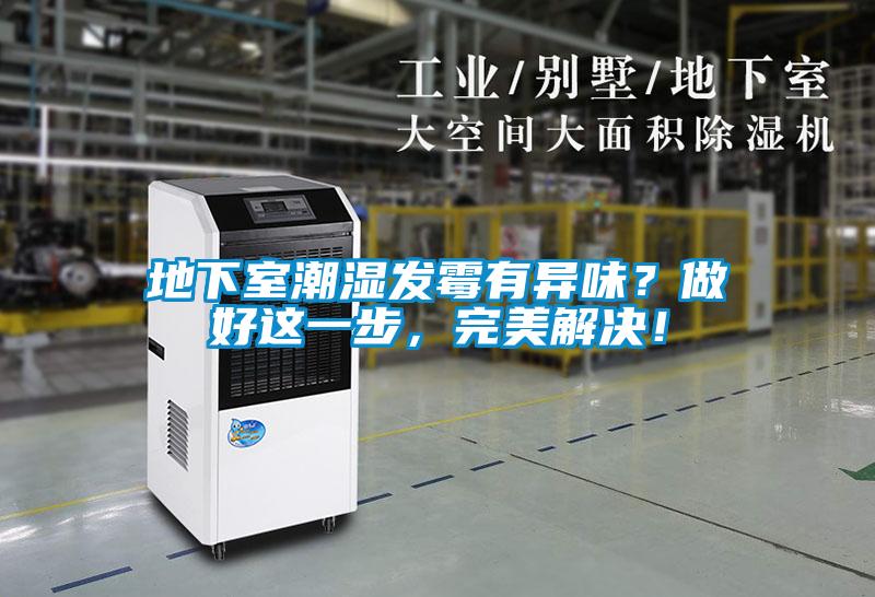 地下室潮濕發(fā)霉有異味？做好這一步，完美解決！