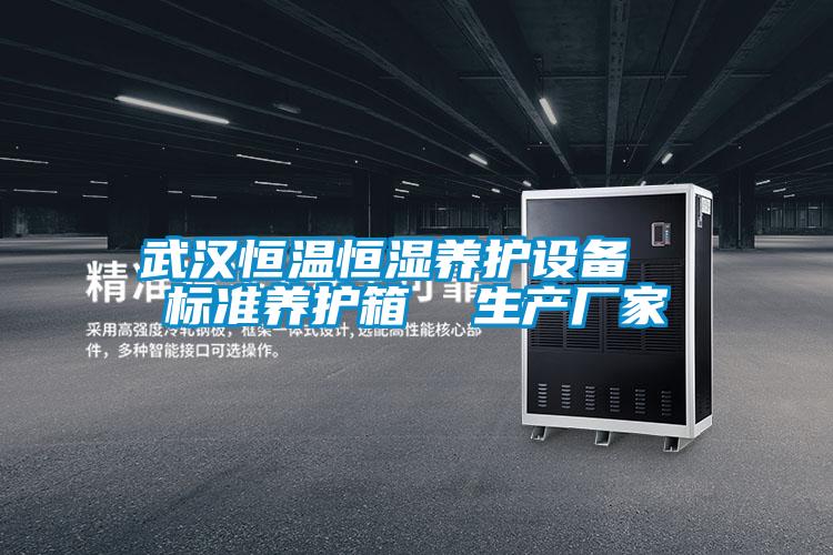武漢恒溫恒濕養(yǎng)護(hù)設(shè)備 標(biāo)準(zhǔn)養(yǎng)護(hù)箱 生產(chǎn)廠(chǎng)家