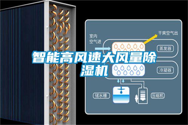 智能高風(fēng)速大風(fēng)量除濕機