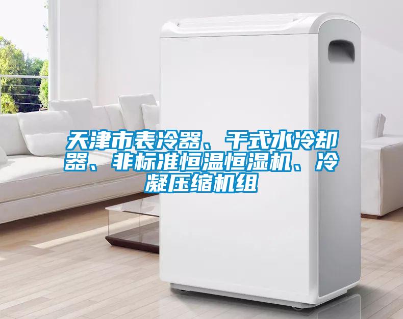 天津市表冷器、干式水冷卻器、非標準恒溫恒濕機、冷凝壓縮機組