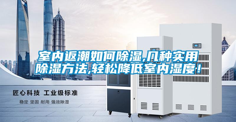 室內(nèi)返潮如何除濕,幾種實(shí)用除濕方法,輕松降低室內(nèi)濕度!