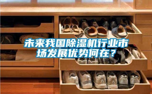 未來我國除濕機行業市場發展優勢何在?