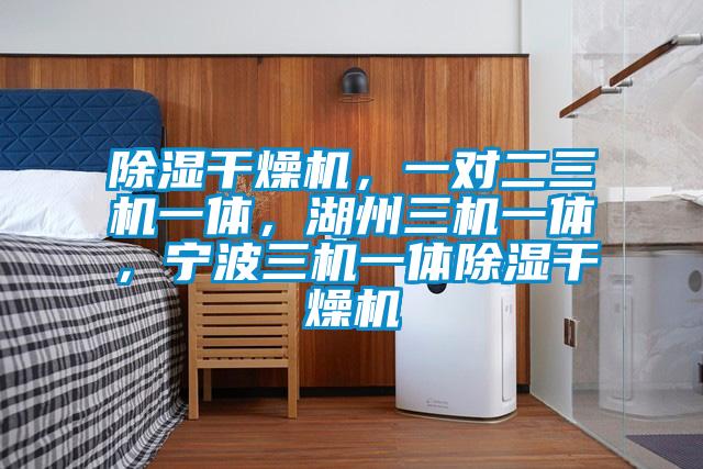 除濕干燥機，一對二三機一體，湖州三機一體，寧波三機一體除濕干燥機