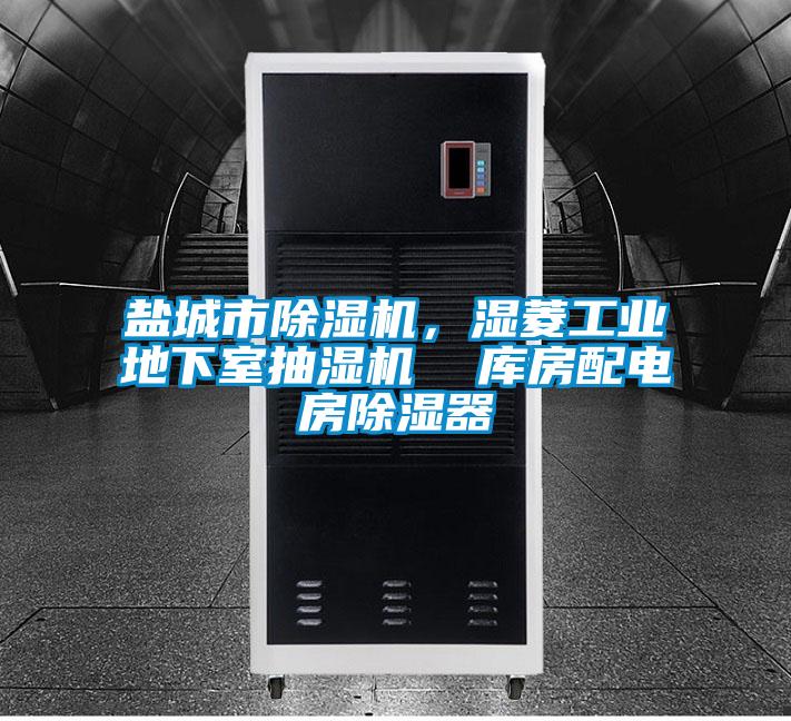 鹽城市除濕機(jī)，濕菱工業(yè)地下室抽濕機(jī)  庫房配電房除濕器