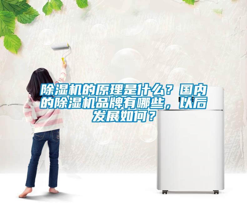 除濕機的原理是什么？國內的除濕機品牌有哪些，以后發展如何？