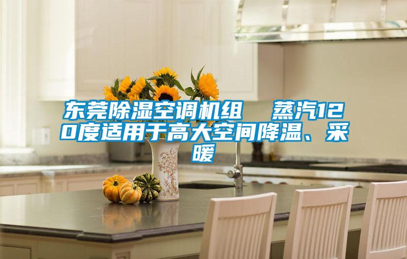 東莞除濕空調機組  蒸汽120度適用于高大空間降溫、采暖