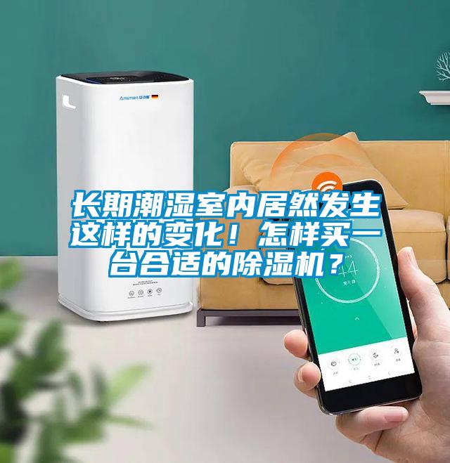 長期潮濕室內居然發生這樣的變化！怎樣買一臺合適的除濕機？