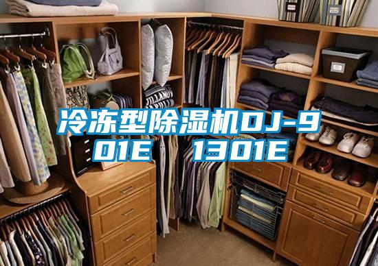 冷凍型除濕機(jī)DJ-901E 1301E
