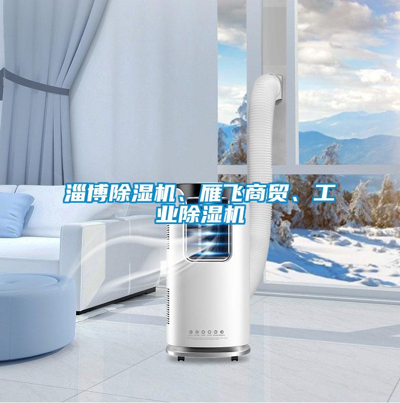 淄博除濕機(jī)、雁飛商貿(mào)、工業(yè)除濕機(jī)