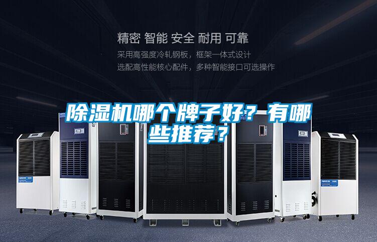 除濕機哪個牌子好？有哪些推薦？
