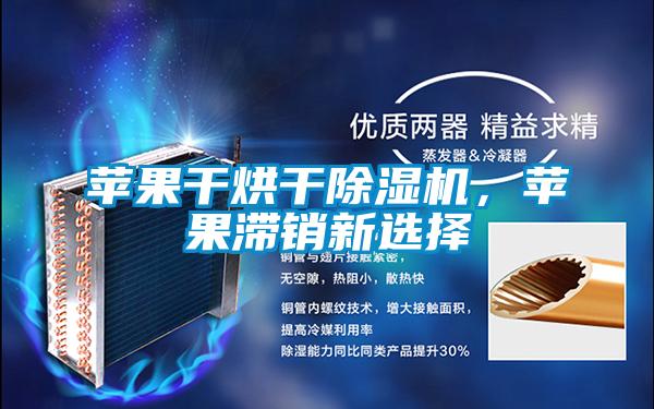 蘋(píng)果干烘干除濕機(jī)，蘋(píng)果滯銷新選擇