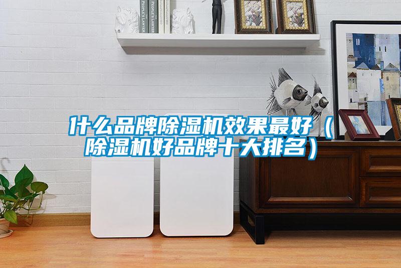 什么品牌除濕機效果最好(除濕機好品牌十大排名)