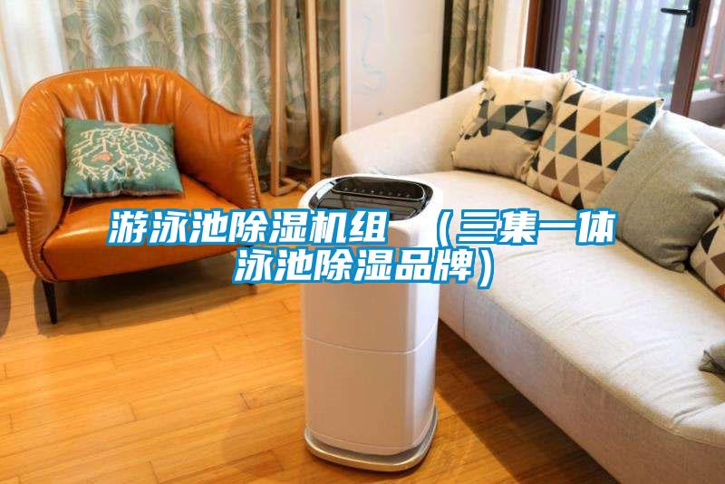游泳池除濕機(jī)組 (三集一體泳池除濕品牌)