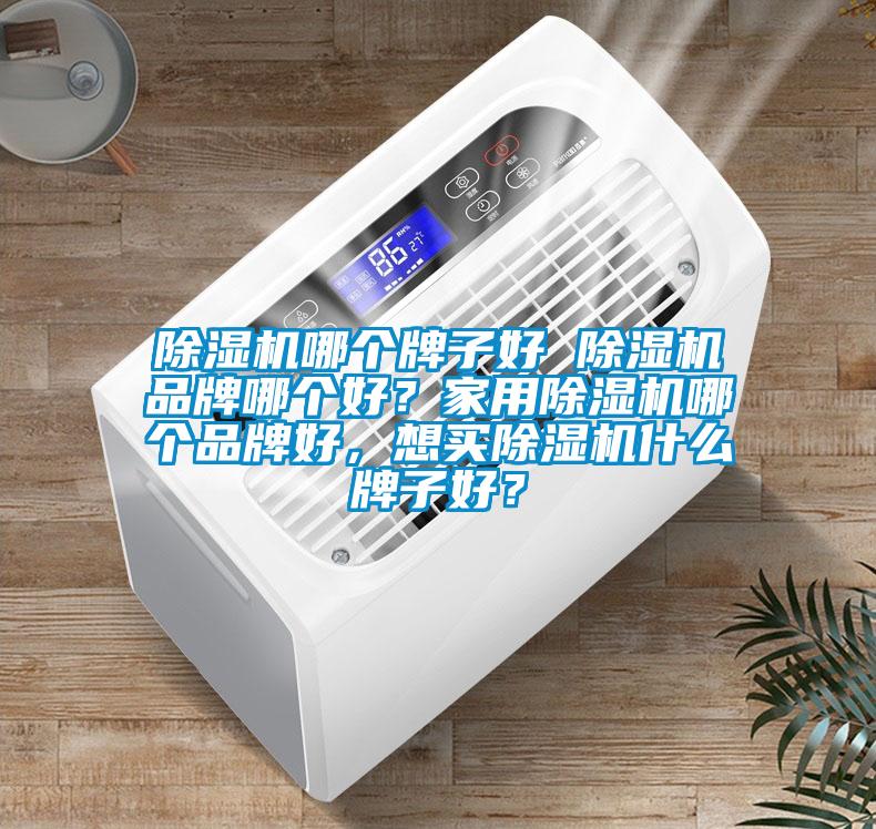除濕機哪個牌子好 除濕機品牌哪個好？家用除濕機哪個品牌好，想買除濕機什么牌子好？