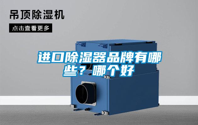 進口除濕器品牌有哪些?哪個好