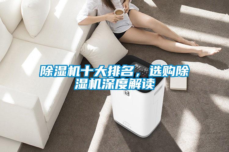 除濕機十大排名,選購除濕機深度解讀