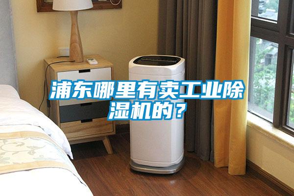 浦東哪里有賣工業(yè)除濕機(jī)的?
